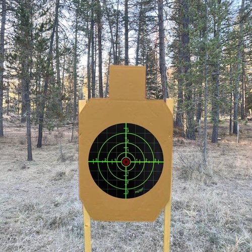 PISTEP Splatter Shooting Targets 6 Inch Reactive Paper Target Stickers 100 Self Adhesive Target Roll for BB Gun, Pellet Gun, Airsoft, Rifle Indoor and Outdoor Shooting Range