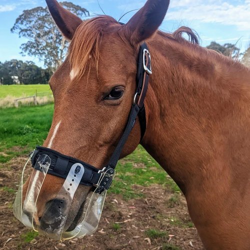 ThinLine Flexible Filly Grazing Muzzle | Lightweight Safe Comfortable Ventilated Equine Slow Feed Halter Mounting Clear Horse Mask, Cob/Horse, 2.5+ cm Hole