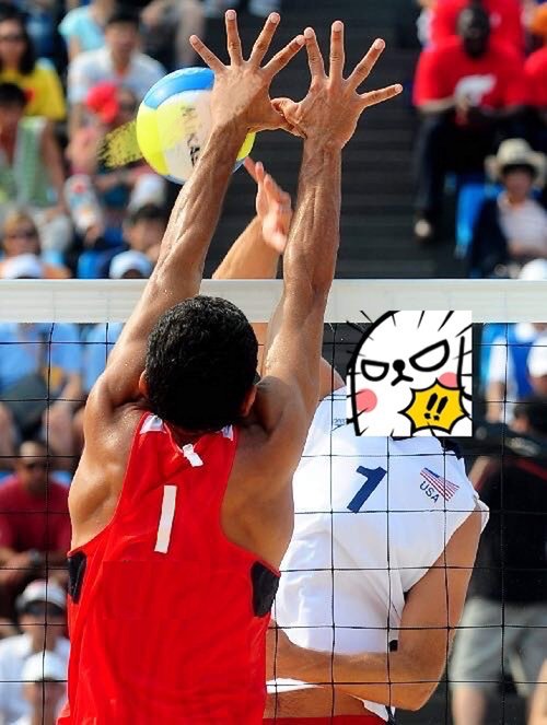 Professional Volleyball Net Outdoor with Aircraft Steel Cable, Heavy Duty VolleyballNet for Backyard, 32x3FT Portable Volleyball Nets for Pool Schoolyard Beach, Badminton/Pro VolleyballNets Set