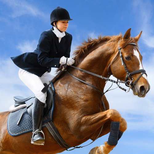 Coolrunner Riding Crop for Horse, 18 Inch Horse Whip with PU Leather Equestrianism Horse Crop Double Slapper Horse Whip Black Crops for Horses (Black)
