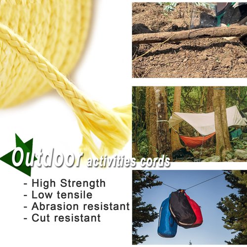 9KM DWLIFE Braided Kevlar Cord, 100lb 0.8mm 100Ft, High Tensile Strength, Abrasion, Flame Retardant, Kite String, Fishing Line, Model Rocket Shock, Hammock Tarp Ridgeline, Tactical Survival Paracord