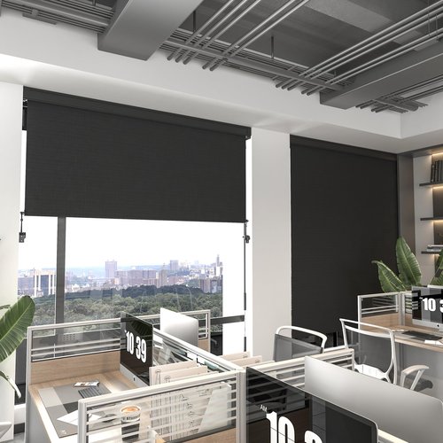 Outdoor Roller Shade with Aluminum Valance, (10'W X 8'H) 420GSM New Material Patio Shade with 95% UV Blockout, Outdoor Blinds with Crank Handle for Shading, Privacy Protection, Black