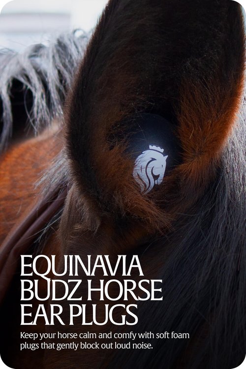 Equinavia BudZ Horse Ear Plugs (6 Count) | Equestrian Noise Reduction Soft Foam Balls - Black - Horse