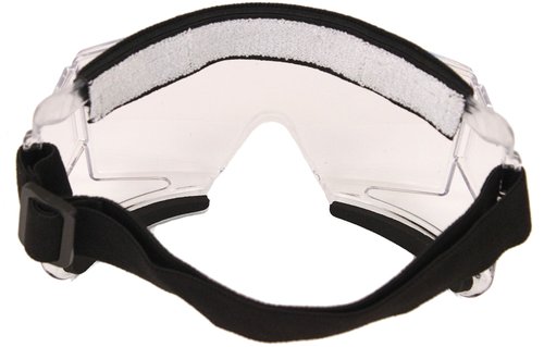 Python Overglasses Protective Racquetball Eyeguard (Eyewear)