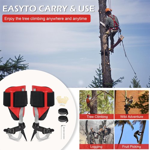 YCBTREE Professional Tree Climbing Spikes Kit - Upgrade Adjustable Climbing Step Gear, for Tree Fruit Picking Climbers, Logging, Hunting Observation (Red)