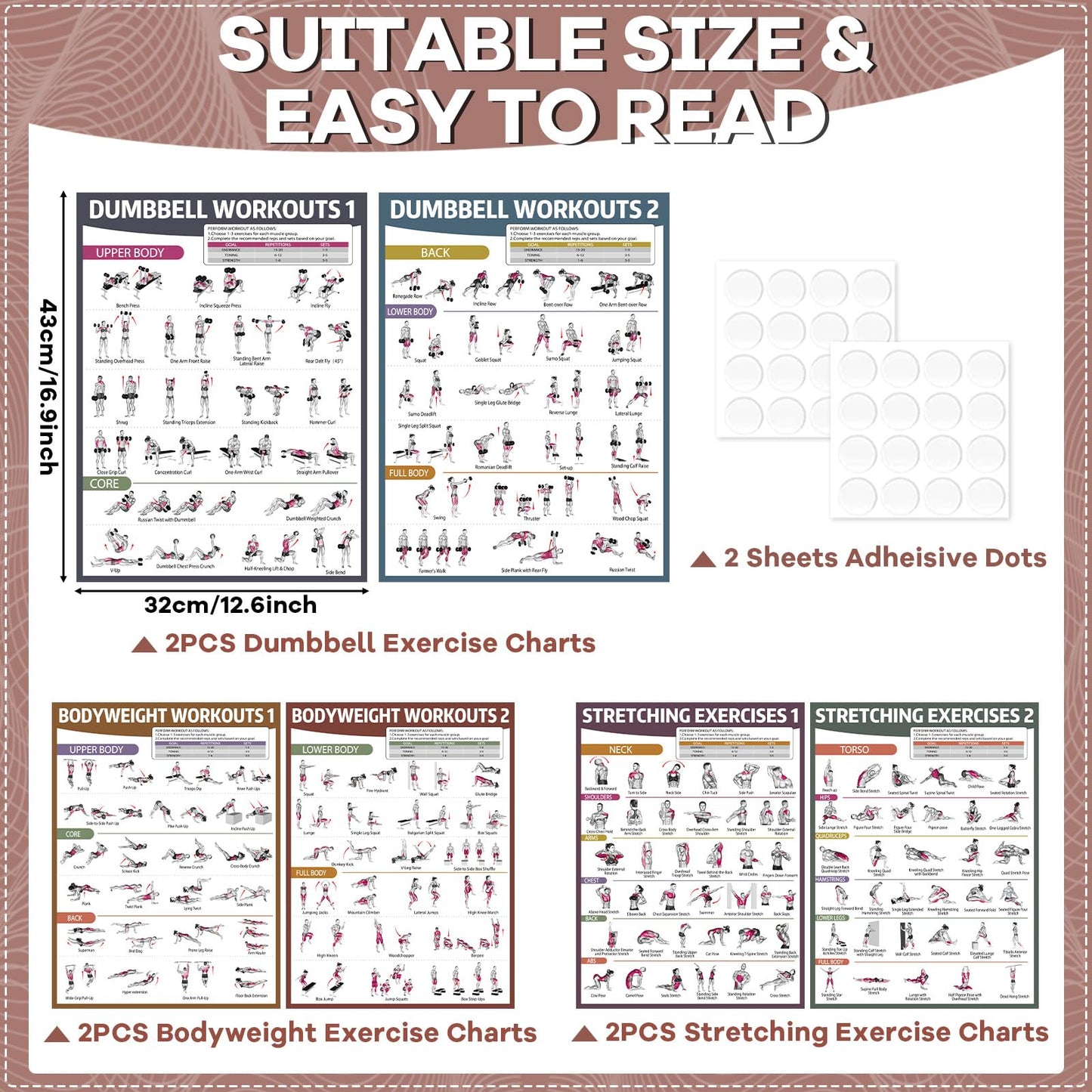 gisgfim 6PCS Workout Posters Dumbbell Bodyweight Stretching Workout Exercise Chart for Home Gym Full Body Routine Poster Set Muscle Engagement Exercise Illustrations Garage Home Gym Wall Decorations