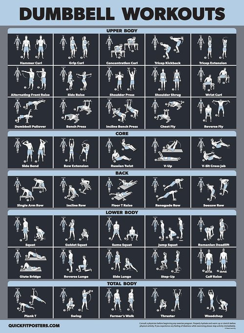 Palace Learning Dumbbell Workout Exercise Poster [Dark] (LAMINATED, 18" x 24")