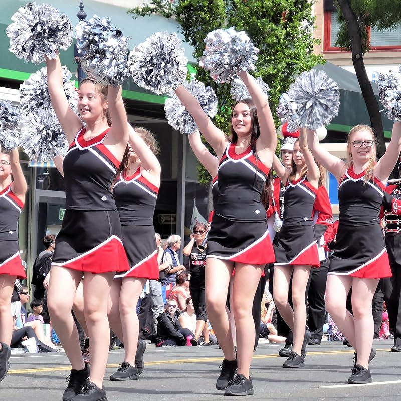 WILLBOND 12 Pcs Cheerleading Pom Poms with Baton Handle - Silver (Variation: Silver+12)