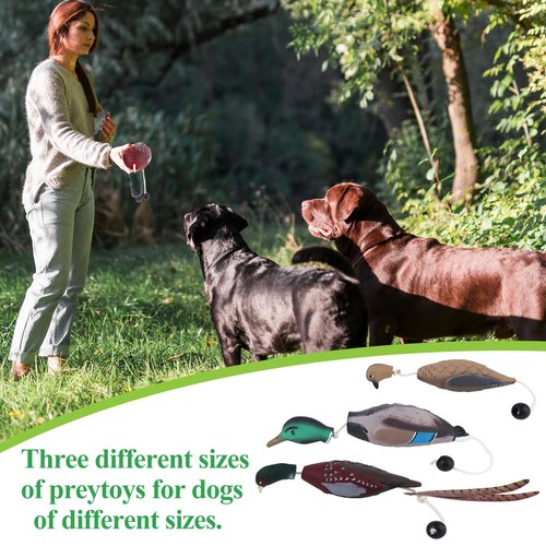 FIONUPI 3 Pcs Duck Dummy Dog Pheasant Toy for Outdoor Training Tools Duck Bumper Retriever Dead Dummy Recognition Trainers Toy