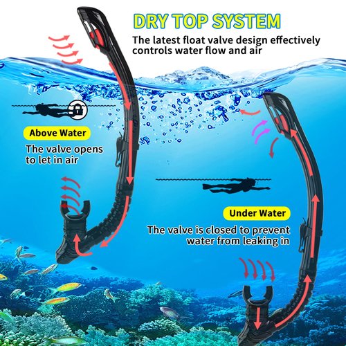 Replaceable Nearsighted Snorkeling Gear for Adults Youth, Short-sighted Anti-Fog Diving Mask & Full Dry Top Silicone Snorkel for Scuba Diving, Snorkeling, Freediving