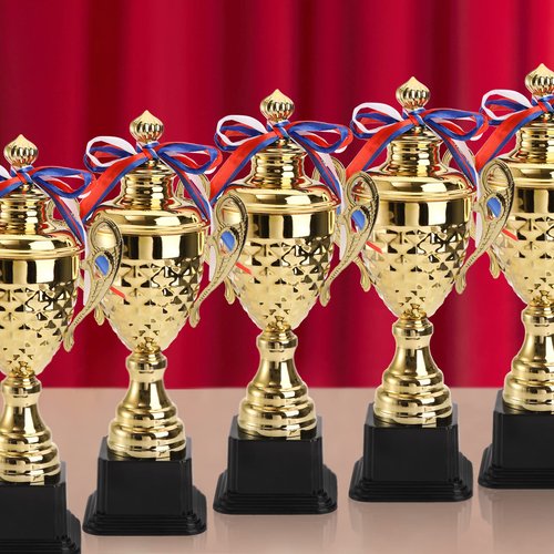 Fasmov Large Trophy Cup for Custom Trophy Keepsake, Gold Award for Sports, Tournaments, Competitions, 14.5 inches