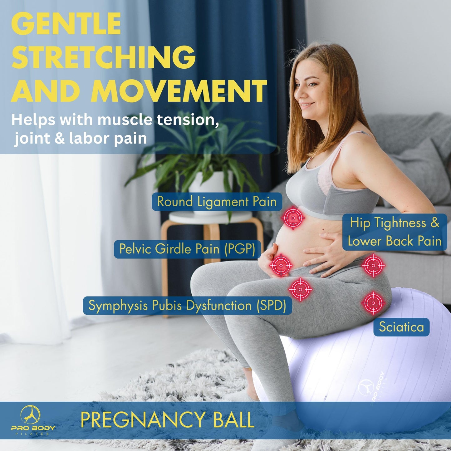 ProBody Pilates Pregnancy Ball - Yoga Ball for Pregnancy with Book, Prenatal, Labor & Postnatal Maternity Exercise (Lilac, 65 cm)
