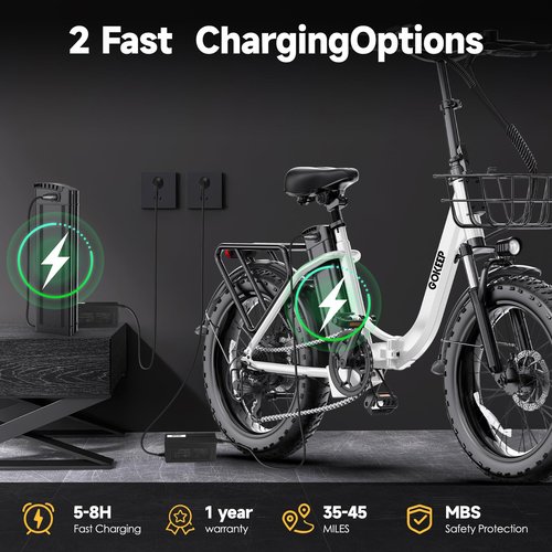 GOKEEP Electric Bike for Adults 20" Fat Tire,750W Motor 52V 13AH Removable Battery Max Range 35 Miles,28MPH,Folding EBike with Shimano 7 Speed and Adjustable Seat for Commute Mountain Snow