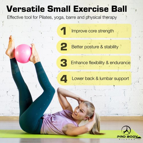 ProBody Pilates Small Exercise Ball with Pump - 9 Inch Workout Ball for Stability, Barre, Yoga, Core & Physical Therapy, Home Gym & Office Use (Blue)