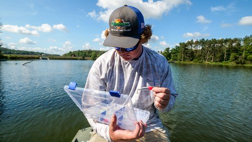Flambeau Outdoors 4007 Fishing - Includes 12 Dividers, 24 Compartments, Clear Fishing Lure Organizer, Tuff Tainer with Zerust Anti-Rust Dividers