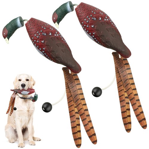 Saillong 2 Pack Pheasant Dog Toy, Bird Duck Dog Training Supplies, Hunting Dog Training Dummy Launcher Dog Training, Retriever Training Floating Dead Fowl Trainer Pheasant for Dog Training