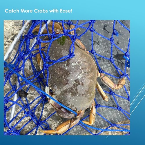 Crab Ring Trap – Collapsible Crab Net with 100ft Rope, Bait Bag, Clip & Ruler – 6 Pieces Portable Crab Trap for Easy Storage – Durable Grid Design for Dock & Pier Crabbing