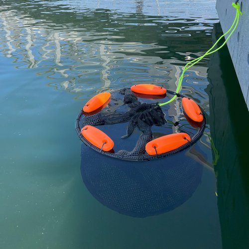 Floating Fish Basket – Collapsible Fishing Net Cage for Live Fish – Heavy-Duty Fishing Net Baskets for Shore, Boat & Dock Fishing