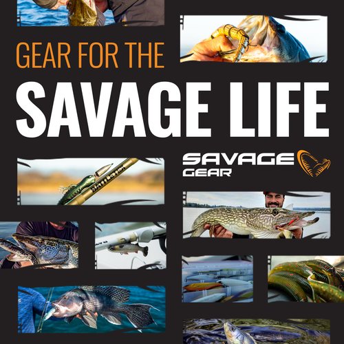 Savage Gear Manic Shrimp Weedless V2 Soft Plastic Fishing Bait, 3in, New Penny, Realistic Contours, Colors and Movement, Durable Construction, Weighted Ultra-Sharp Jig Hook