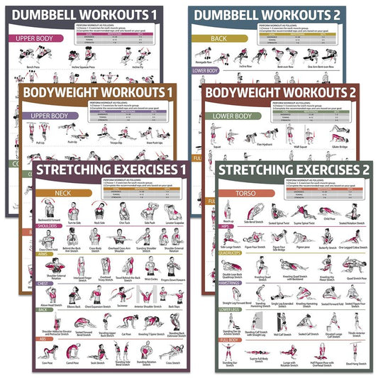 gisgfim 6PCS Workout Posters Dumbbell Bodyweight Stretching Workout Exercise Chart for Home Gym Full Body Routine Poster Set Muscle Engagement Exercise Illustrations Garage Home Gym Wall Decorations