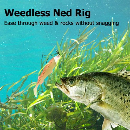 Dr.Fish 10 Pack Ned Rig Jig Heads, Weedless Mushroom Jig Heads Bass Fishing Hooks for Soft Lures Swimbaits Worms Freshwater Brown, 1/4oz