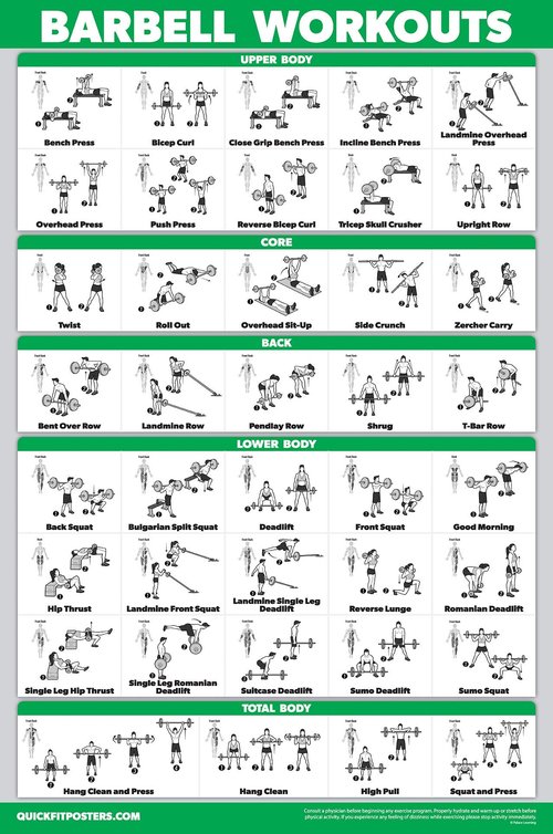 Palace Learning QUICKFIT Barbell Workout Exercise Poster - (Laminated, 18in x 24in) for Kids Room