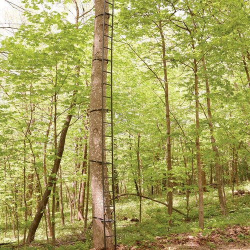 Guide Gear Climbing Ladder for Tree Stands, Climbing Equipment for Deer Hunting, 20’