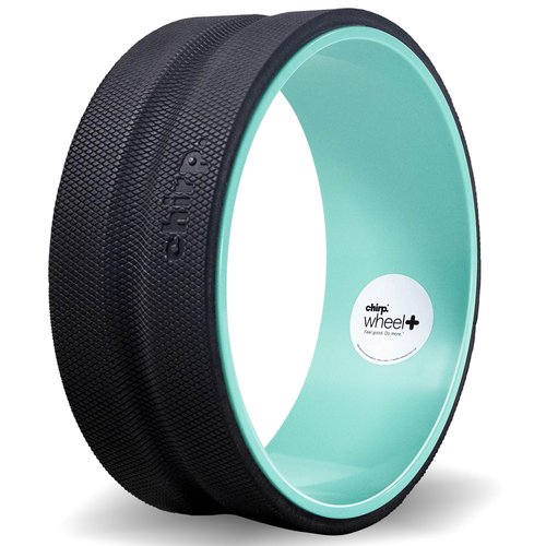 Chirp Wheel Foam Roller - Targeted Back & Neck Pain Relief, Muscle Massage, Trigger Point Therapy, High-Density Foam Tool for Physical Therapy, Stretching & Exercise, 500lbs Capacity, 12-Inch Mint