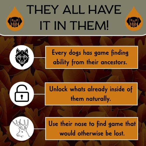 DogBone BloodTrail Scent for Tracking Dog Training | Dog Training Kit | Hunting Dog Accessories | Dog Scent Training Kit | Deer Hunting Accessories | Dog Training Tools | Scent Work Training for Dogs