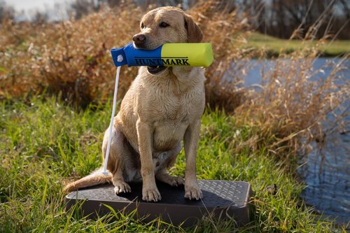 HUNTMARK Dog Training Bumper - 1000 Denier Nylon Dog Bumper Trainer - Heavy-Duty Hunting Puppy Accessories - Weighted Retriever Dummies - Training Dummy w High-Density Rope (Blue|Yellow)