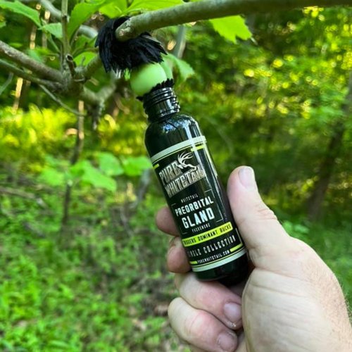 Pure Whitetail Preorbital Gland Scent | Deer Forehead Gland Scent | Natural Deer Scent | Mock Scrape Scent | Makes a Licking Stick for Deer | 2 oz Bottle