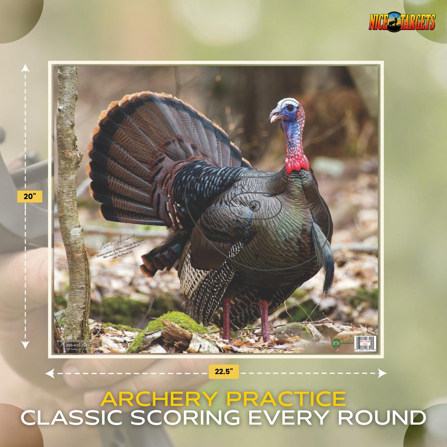 NiceTargets Turkey Archery Target, 20" x 22.5" Photorealistic Life Size Plastic Animal for Target Practice, Vanishing Vital Zones, Bow Targets for Archery Training and Hunting Practice, Made in USA