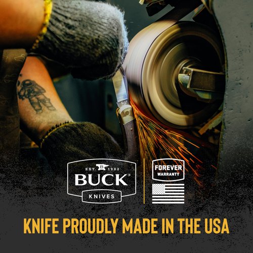 Buck Knives 110 Folding Hunter LT Lightweight Folding Lockback Hunting Knife with Lanyard Hole & Heavy-Duty Polyester Sheath Included, Nylon Handle, 3-3/4" 420HC Blade, Black