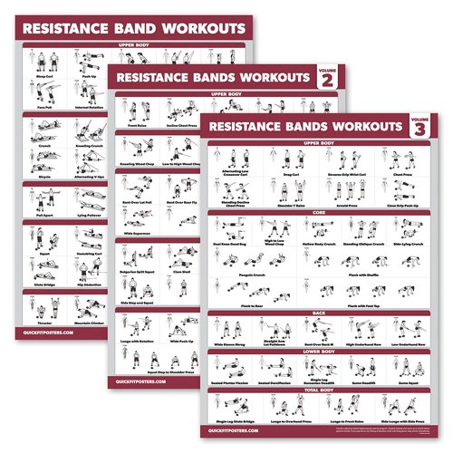 Palace Learning 4 Pack - Resistance Bands Workout Exercise Posters Volume 1, 2 & 3 + Resistance Loops Fitness Chart (LAMINATED, 18" x 24")