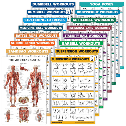 16 Pack - Exercise Workout Poster Set: Dumbbell , Suspension , Kettlebell , Bands , Medicine Ball , Battle Rope , Stretching , Bodyweight , Barbell , Yoga , Exercise Ball (PAPER - NOT LAMINATED , 18" x 24" )