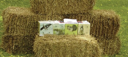 Crosman CAVTB High Density Foam Varmint Target Block For Pellets And BBs