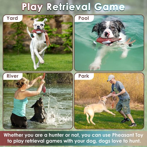 Saillong 2 Pack Pheasant Dog Toy, Bird Duck Dog Training Supplies, Hunting Dog Training Dummy Launcher Dog Training, Retriever Training Floating Dead Fowl Trainer Pheasant for Dog Training
