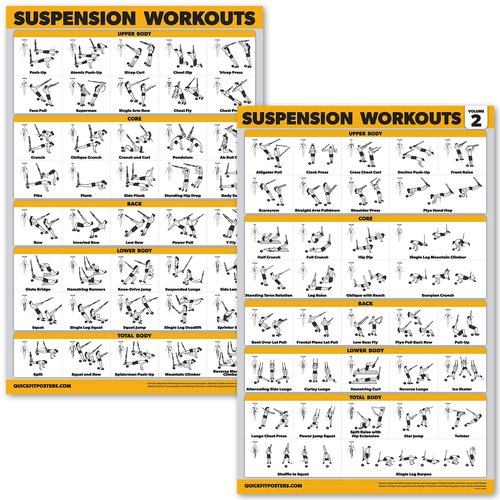 Palace Learning 2 Pack Suspension Workout Posters - Volume 1 & 2 - LAMINATED Exercise Charts - 18" x 24" Vol. 1 & 2