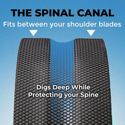 Chirp Wheel Foam Roller - Targeted Back & Neck Pain Relief, Muscle Massage, Trigger Point Therapy, High-Density Foam Tool for Physical Therapy, Stretching & Exercise, 500lbs Capacity, 4-Pack Mint