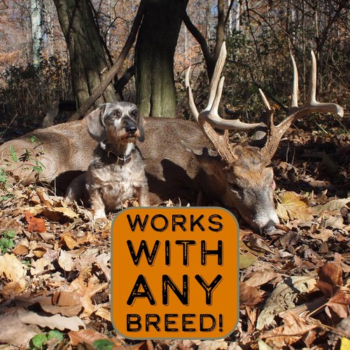 DogBone BloodTrail Scent for Tracking Dog Training | Dog Training Kit | Hunting Dog Accessories | Dog Scent Training Kit | Deer Hunting Accessories | Dog Training Tools | Scent Work Training for Dogs