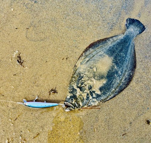 LITTMA California Surf Fishing Lures Saltwater Jerkbait Crankbait Surf Minnow 110 - Metallic Sardine Super Glow & Pearl Pink Belly Glow Lures for Halibut & Striper Fishing