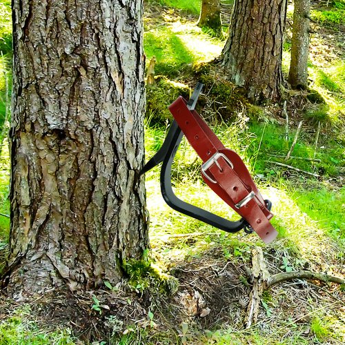 Tcatec Tree Climbing Spikes & Gaffs with Soft Padding | Height Adjustable Arborist Equipment for Fruit Picking, Logging, Hunting | Heavy Duty Carbon Steel Construction