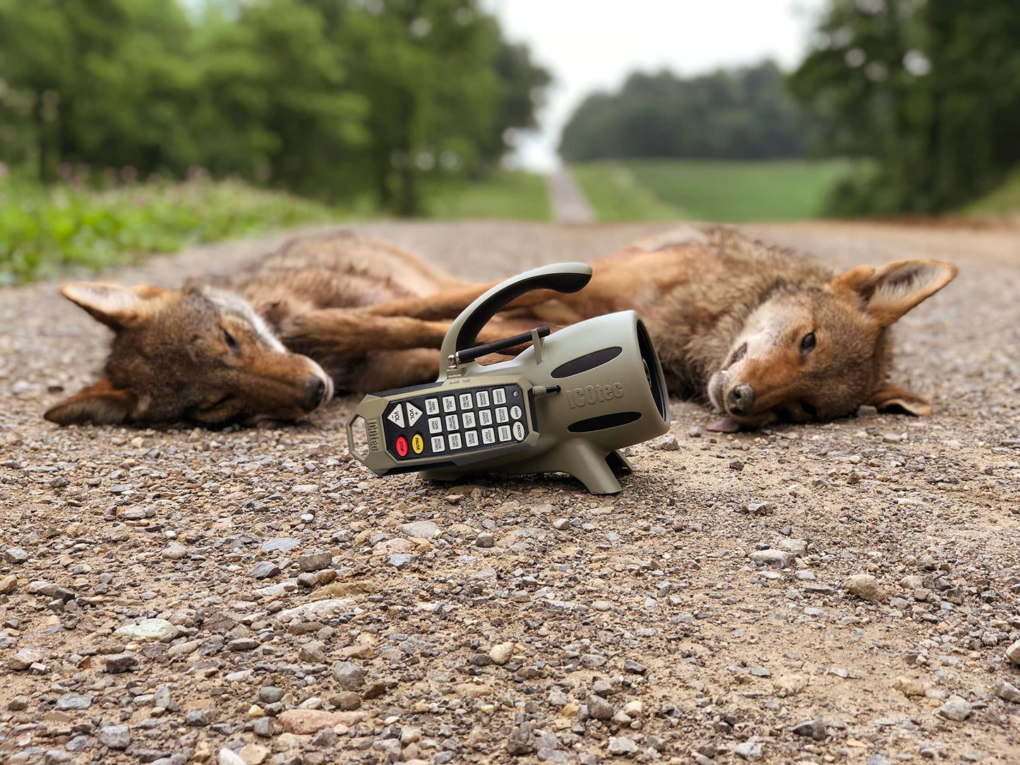 Icotec Model 300 Predator Caller (300+ Predator Call)