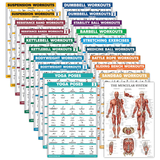 20 Pack - Exercise Poster Set: Dumbbell, Suspension, Battle Rope, Stretching, Bodyweight, Barbell, Yoga, Exercise Ball, Muscular, Kettlebell, Resistance Bands and More (LAMINATED, 18" x 24")