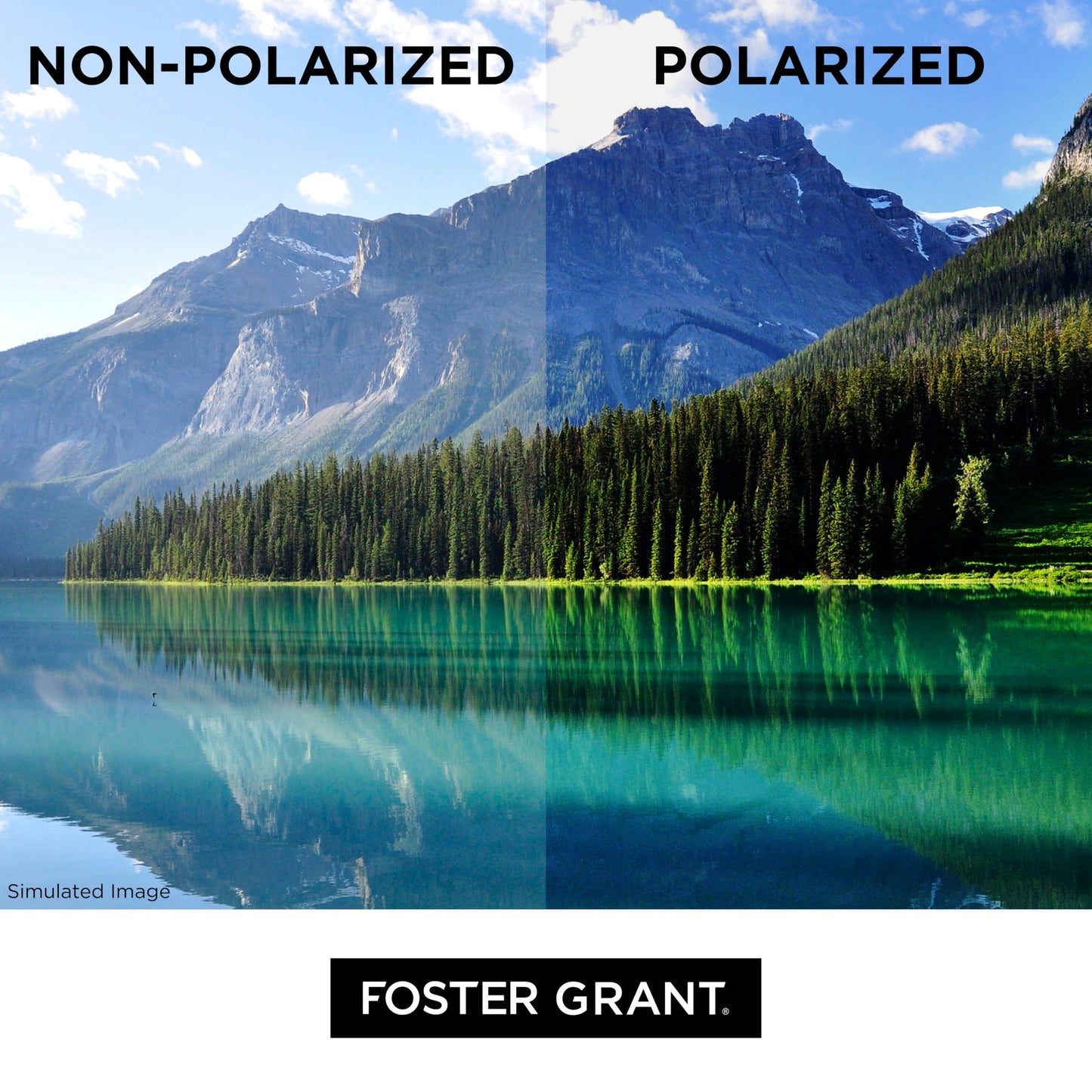 Foster Grant Choice Sunglasses, Tortoise/Amber, 52 mm