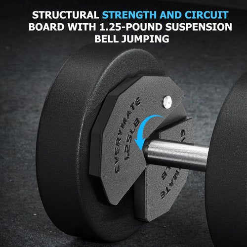 EVERYMATE Dumbbell Fractional Weight Plate, 1.25lb Weights for Dumbbells, Weight Clips for Dumbbells to Add Weight , Designed for Dumbbell Training, Micro Change Plates for Dumbbell and Olympic Barbell Weightlifting