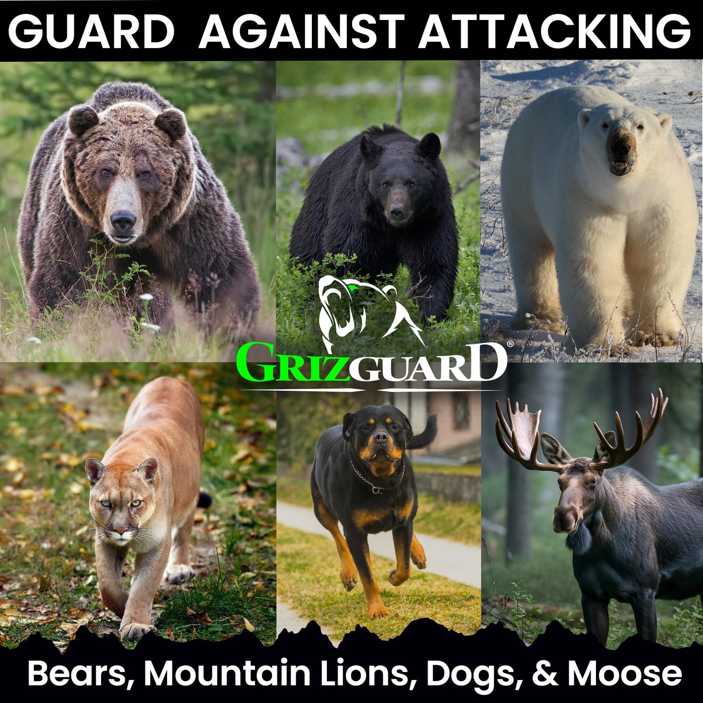 Griz Guard Bear Spray with Holster 2 Pack – Max Strength 7.9 oz, 40-Foot Range, EPA-Registered Deterrent for Bears, Mountain Lions, Coyotes, Dogs & Moose, Glow Safety Clip, Hiking & Camping Protection