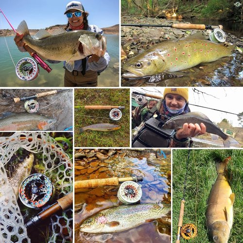 M MAXIMUMCATCH Maxcatch ECO Pre-Loaded Fly Fishing Reel Aluminum Body with Fly Line, Backing, Leader(3/4wt 5/6wt 7/8wt) (Black ECO Reel with Line, 5/6 wt)