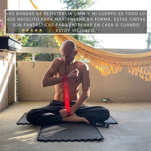 Limm Resistance Loop Exercise Bands - Set of 5 Stretch Bands for Working Out with Instruction Guide & Carry Bag - Elastic Band for Home Workout & Physical Therapy for Women and Men 12" x 2"