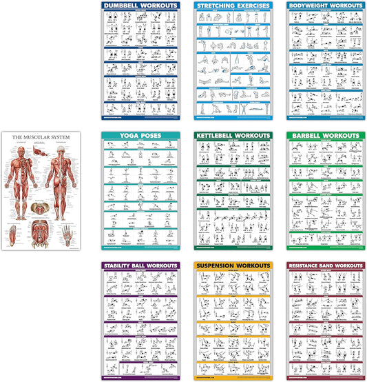 10 Pack - Exercise Workout Poster Set - Dumbbell, Suspension, Kettlebell, Resistance Bands, Stretching, Bodyweight, Barbell, Yoga Poses, Exercise Ball, Muscular System (PAPER, NON LAMINATED,18" x 24")